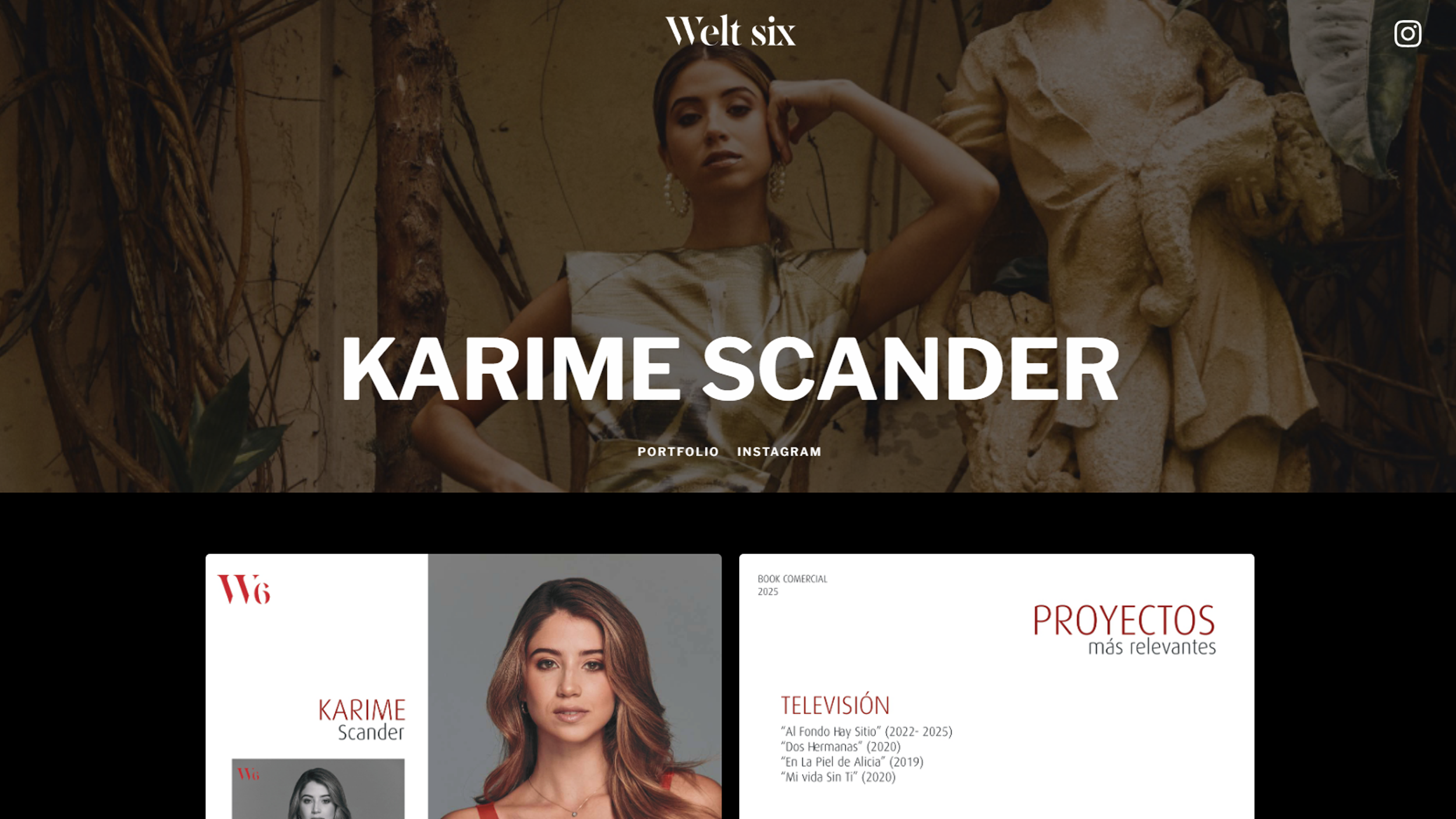 Formulario de postulación para talento en la web de WeltSix desarrollada por Marso